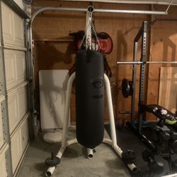 Century Punch Bag And Speed Bag