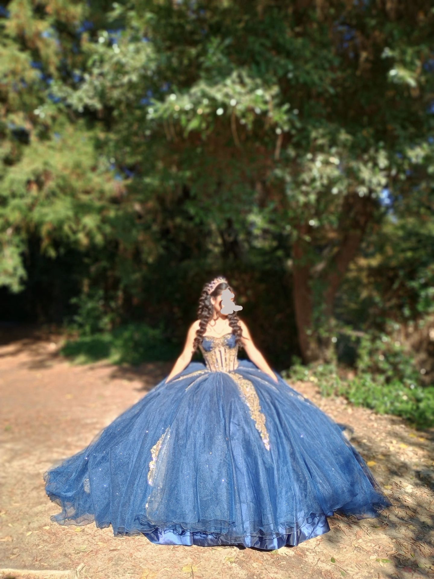 Quince Dress W/ Crinoline Included Quince Dress W/ Crinoline Included