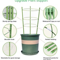 Plant Support
