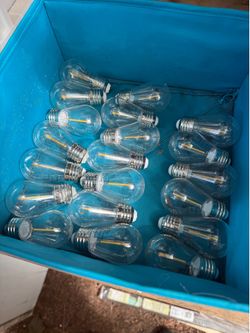 Free Outdoor String Light Bulbs