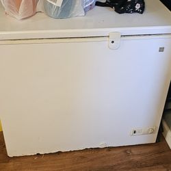 Nice Chest Freezer