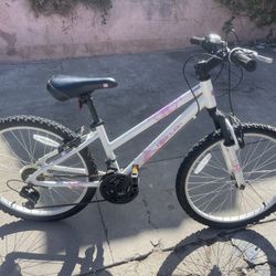 Reaction Scope 24 Bike