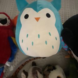 Stuffed Animals