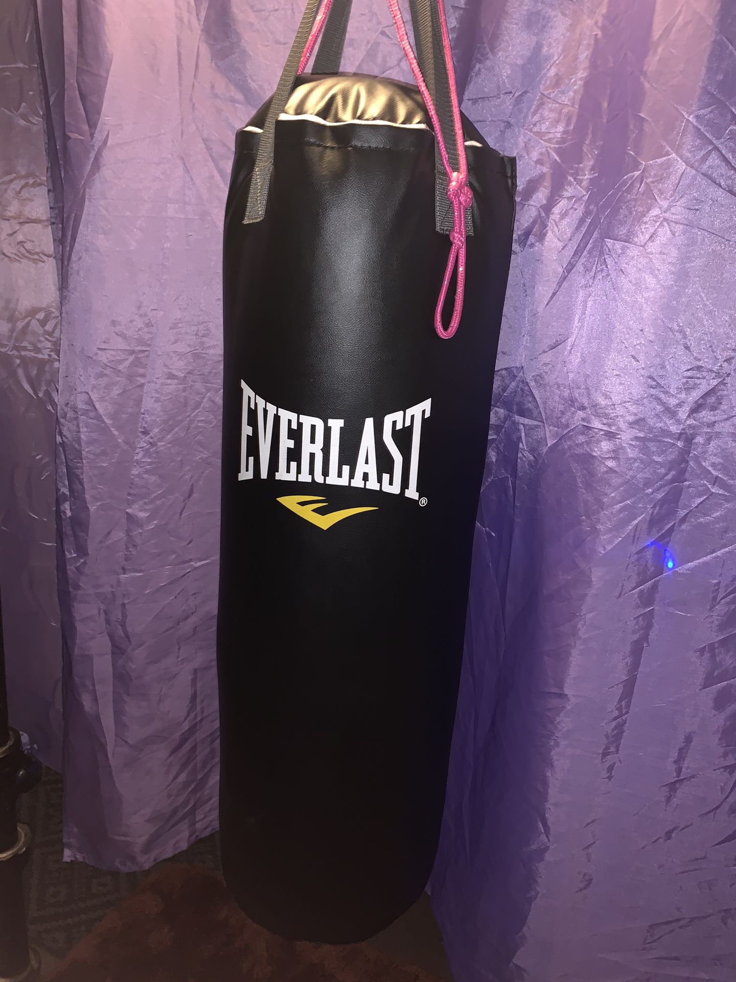 Everlast punching bag