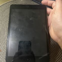 Ipad Mini 
