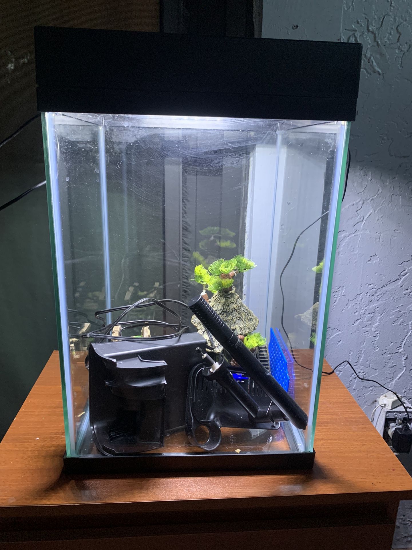 10 Gallon Vertical Fish Tank