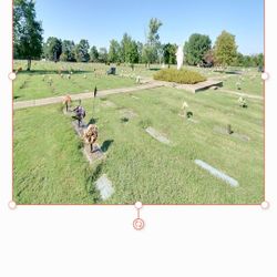 Single Cemetary Plot For Sale