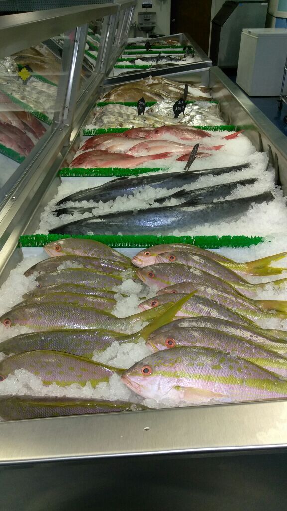 Combee fish market fresh fish and seafood 1547 s combee Rd Lakeland FL 33801 EBT WILL BE READY BY FRIDAY!!!