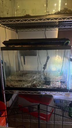 20/5 gallon fish tanks