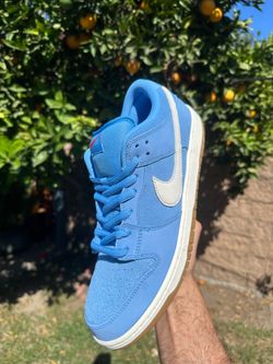 Nike Sb Dunk Low
