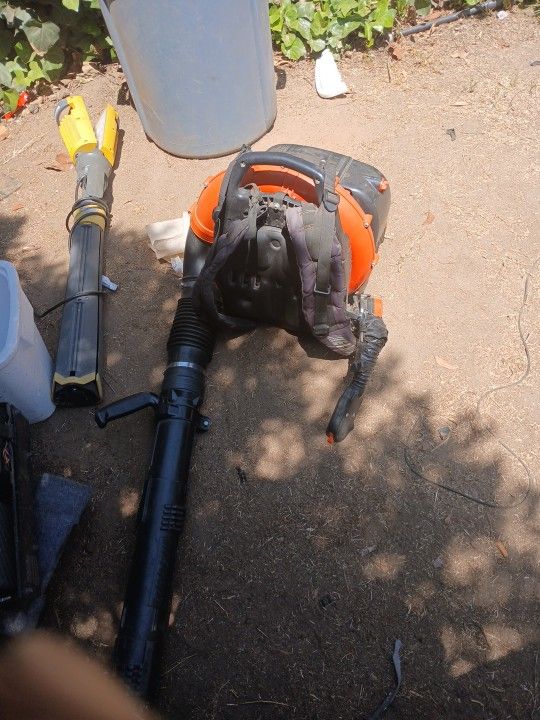 Echo Leaf Blower