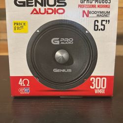 Genius Audio Professional Midrange 