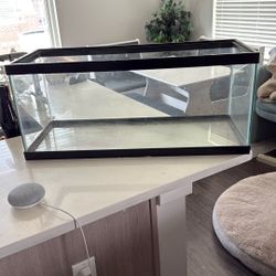 Glass Aquarium 