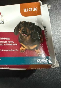 Flea medication for small dogs 11.1-22lbs 12 month supply