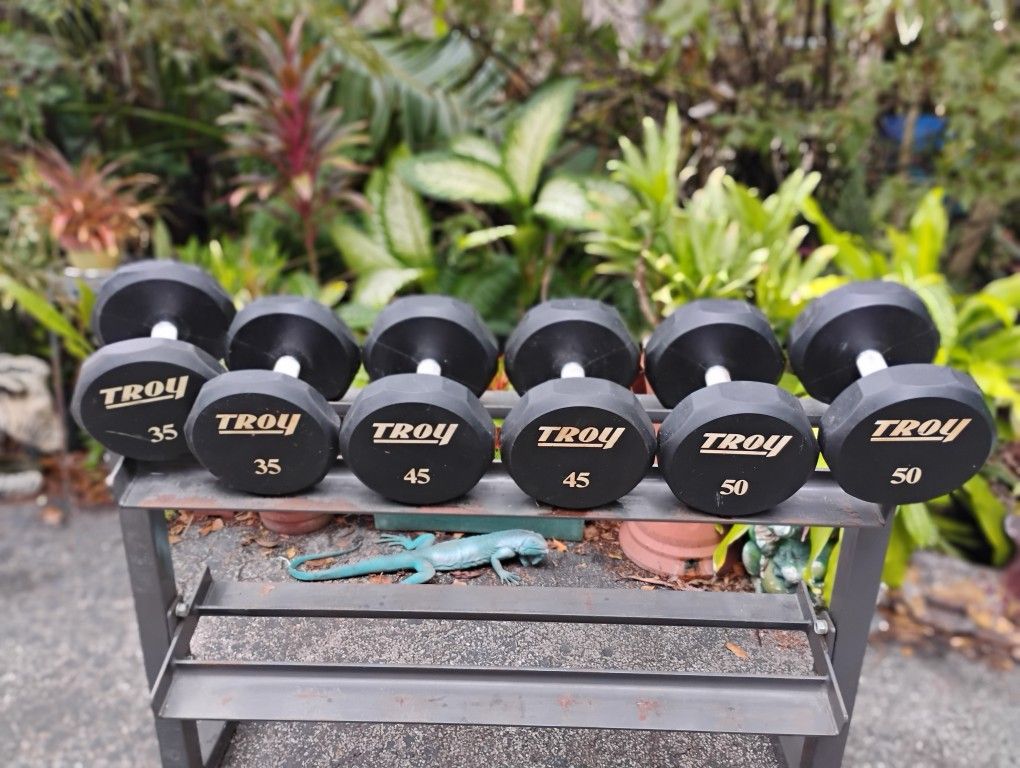 SET OF TROY RUBBER DUMBBELLS (PAIRS OF) : 35s 45s 50s (RACK SOLD)