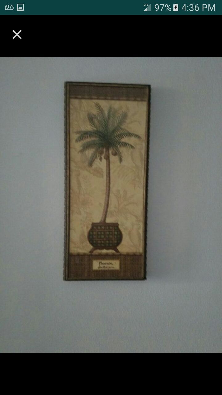 Palm tree picture frame set
