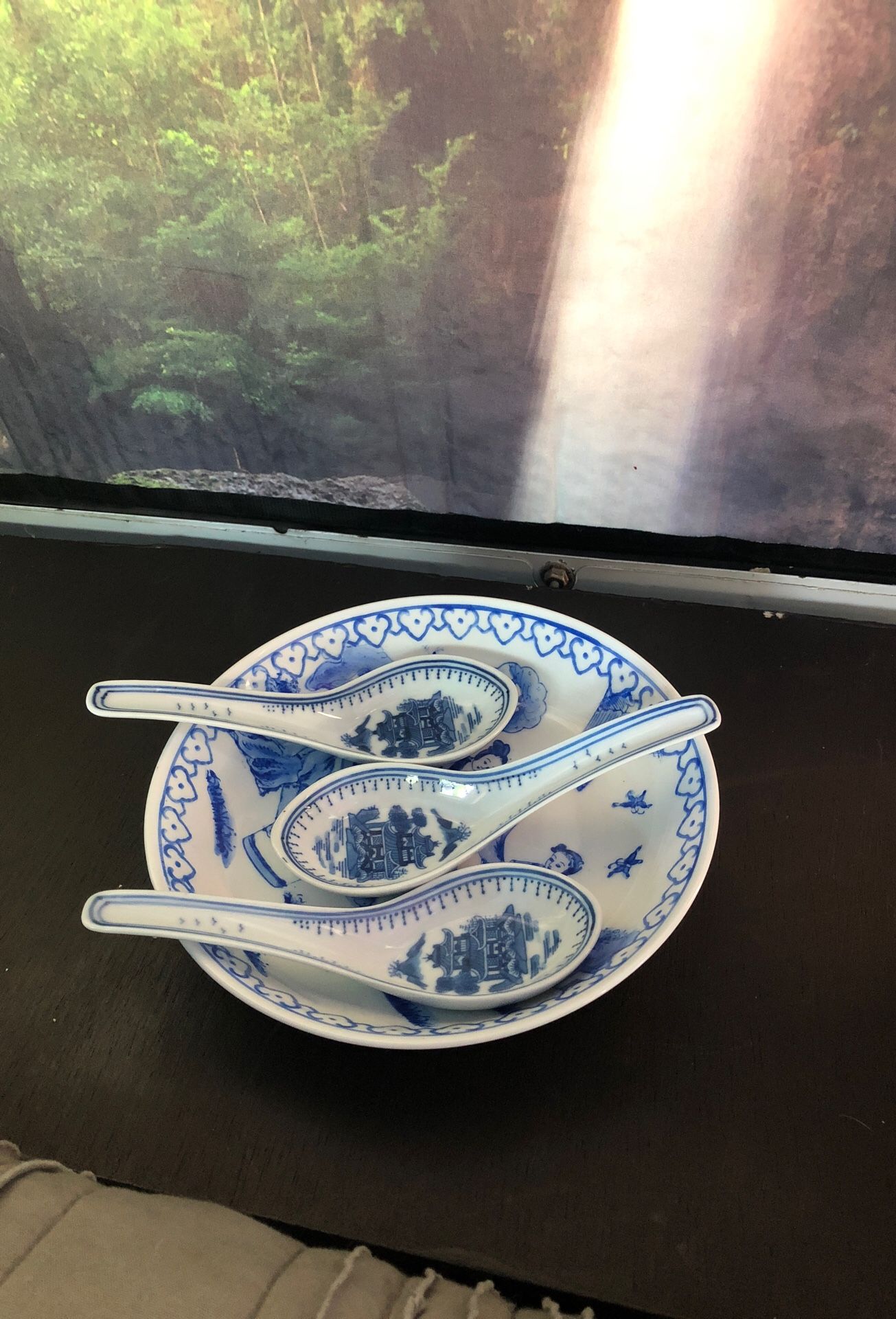 Fine China Bowl - With Spoons