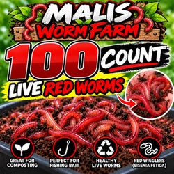 Malis Worm Farm 100 Live Red Worms