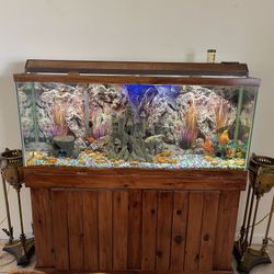 Fish Tank
