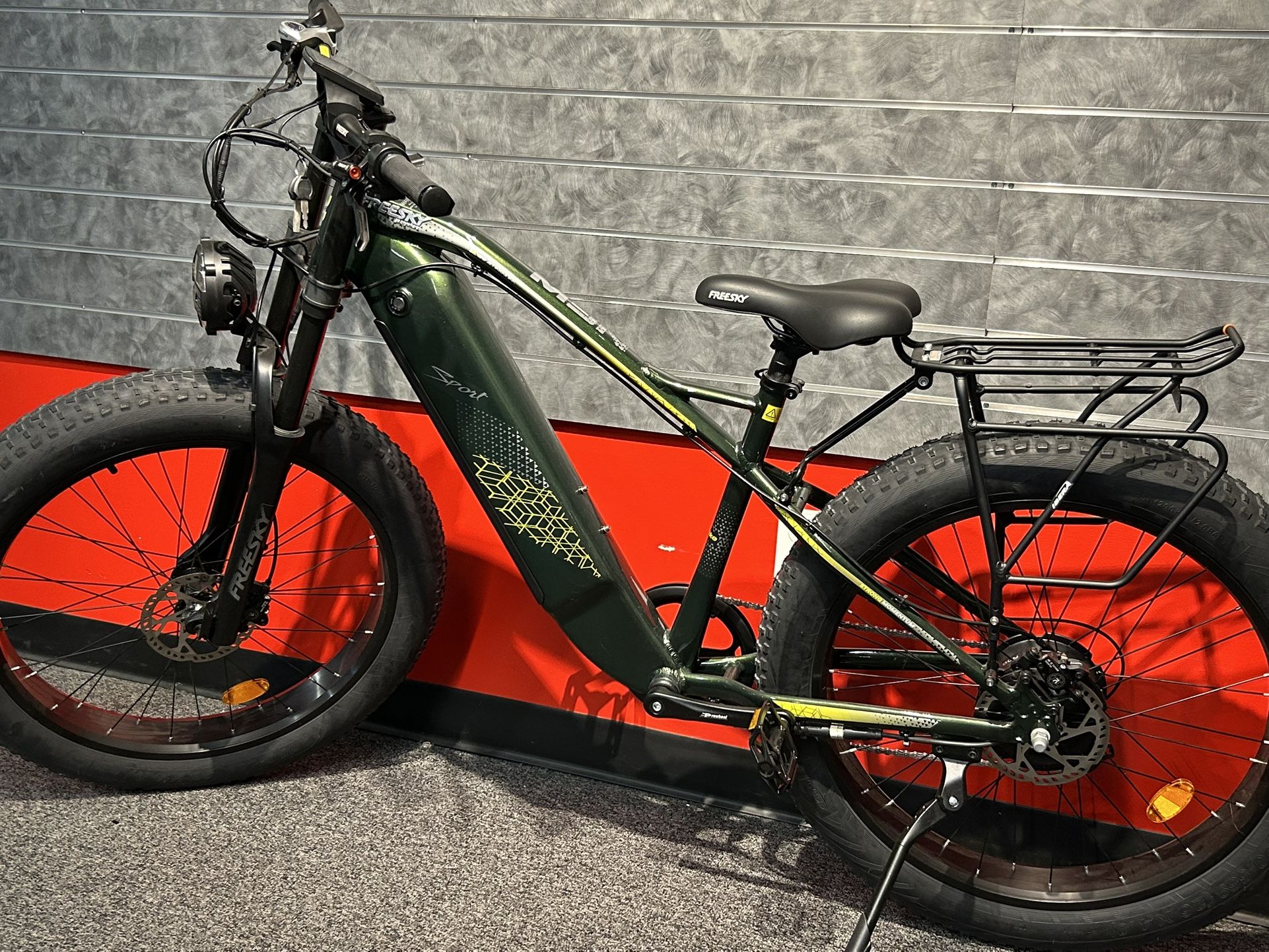 FREESKY 750 Watts Electric Bikes Ebikes