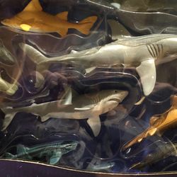 10 piece shark figure set.