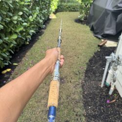 Custom Rod With Bushido Blank