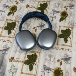 Apple Headphones 