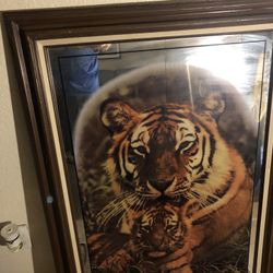 Huge  Mirror. The Frame Has A Couple Nicks, But Nothing Major. $30 Pick Up In Apache Junction. The Mirror Itself Has No Damage At All. 