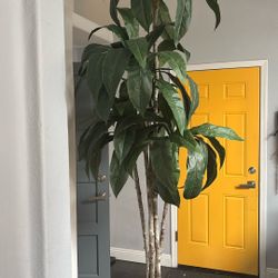 Huge Faux Plant