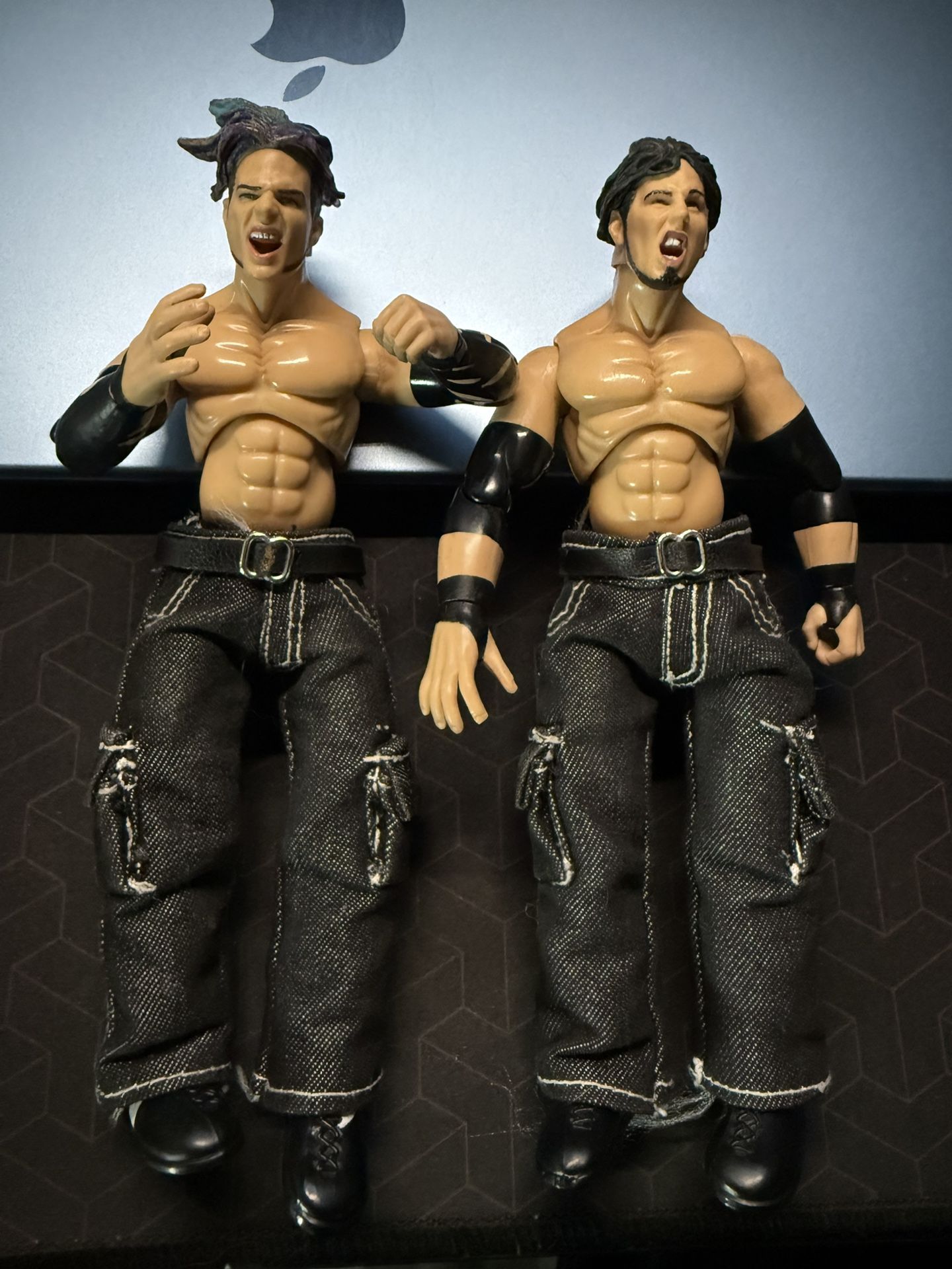 Hardy Boyz Action Figures Jeff Matt Harty 