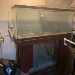 Mirrors Fish Tanks Need Gone Table Punching Bag 