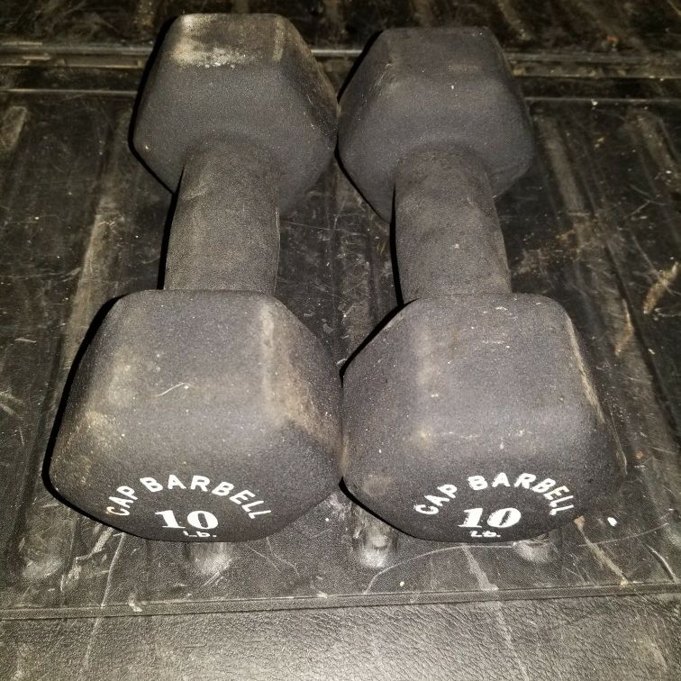 10 Lb. Dumbbells