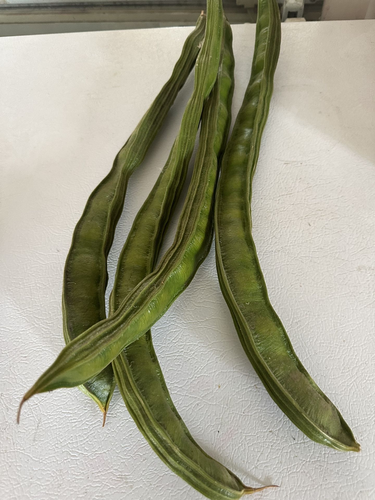 Ice Cream Bean Fruit