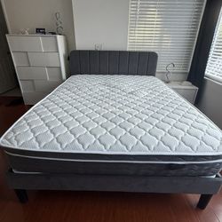 Queen Size Bed $60