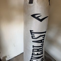 Everlast Boxing Bag  70lbs. 