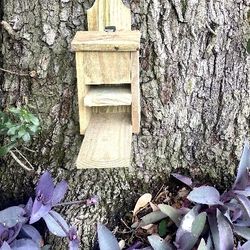 Creative Nature Boxes