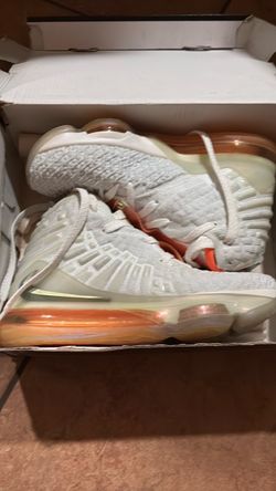 LeBron 17 (Future Air) Size 5.5 (GS)