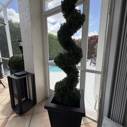 Lighted Topiary Tree with Black Planter