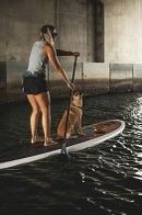 Doggie Paddle Board