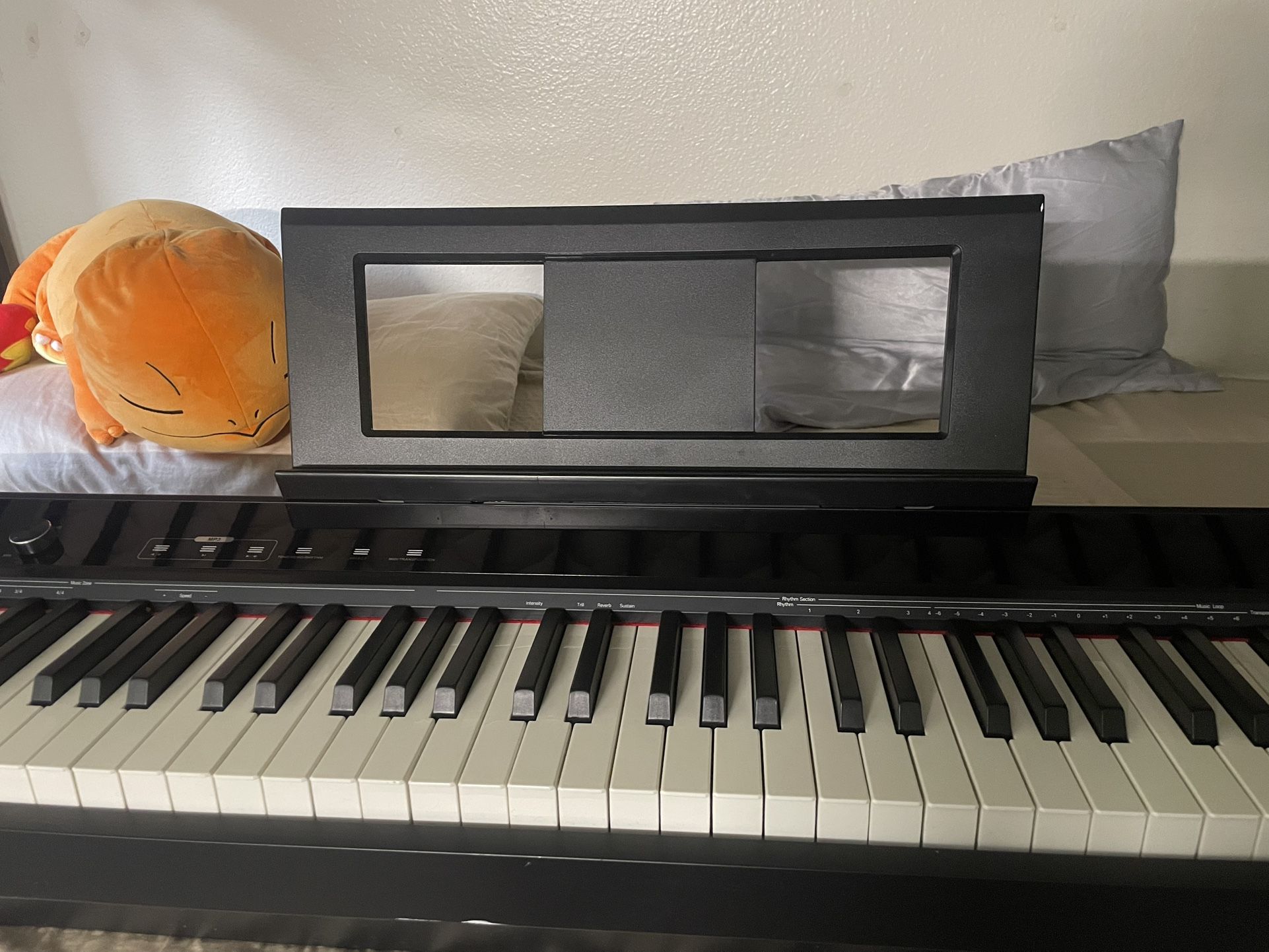Eastar Ep-120 Weighted 88-Key Keyboard Piano with Touch-sensitive screen