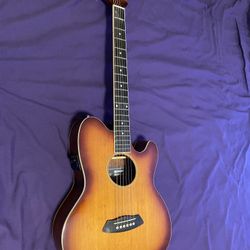 Ibanez Acoustic/Electric
