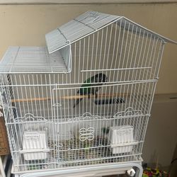 Birds Cage $50