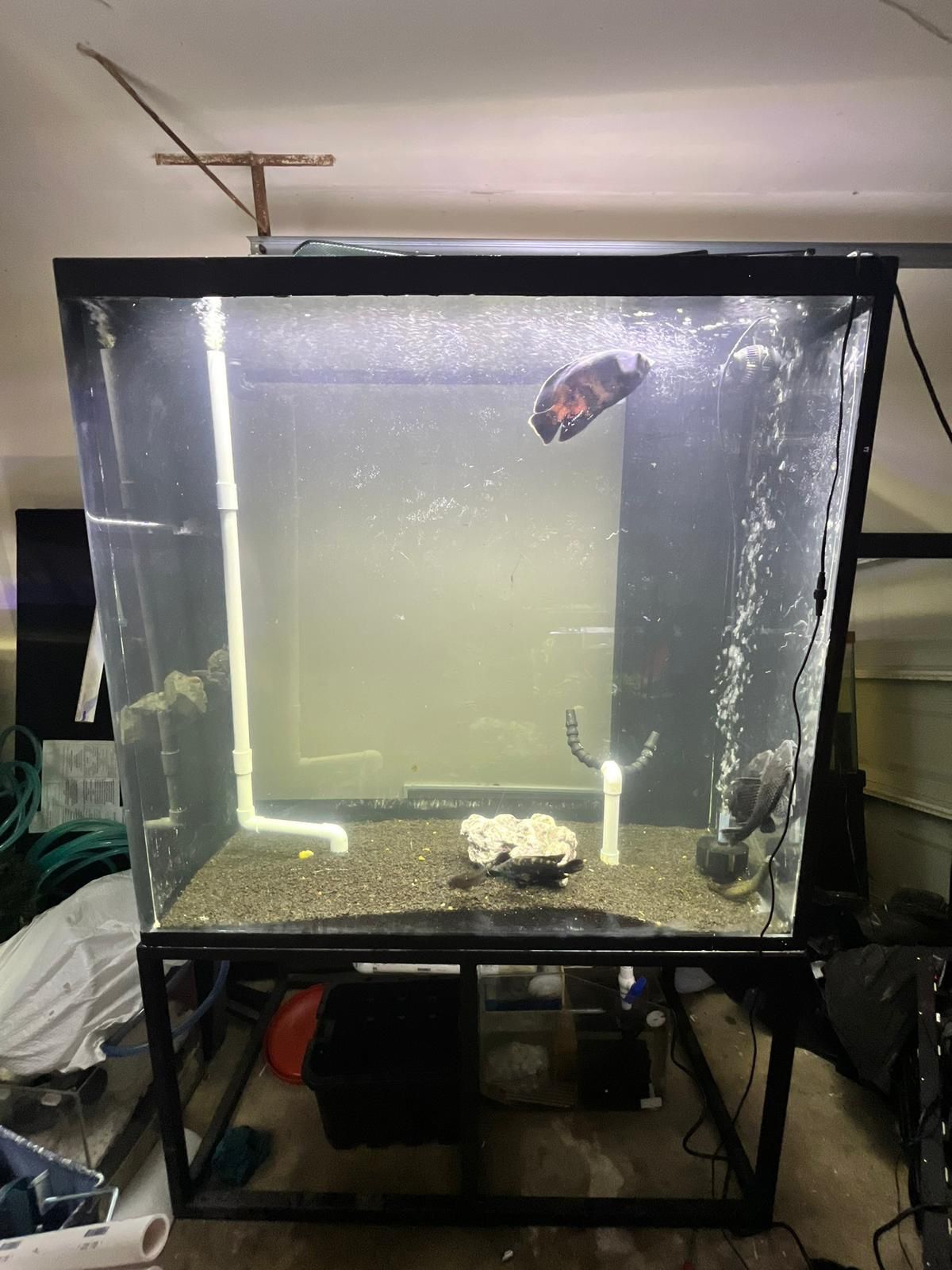 280G Fish Tank And Steel Stand
