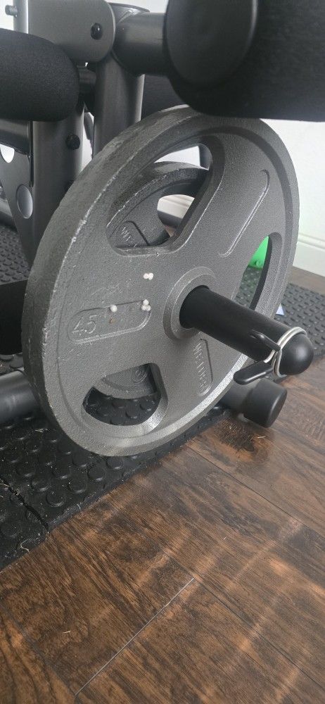 Weight Bench 
