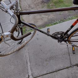 Schwinn Vintage Bike 