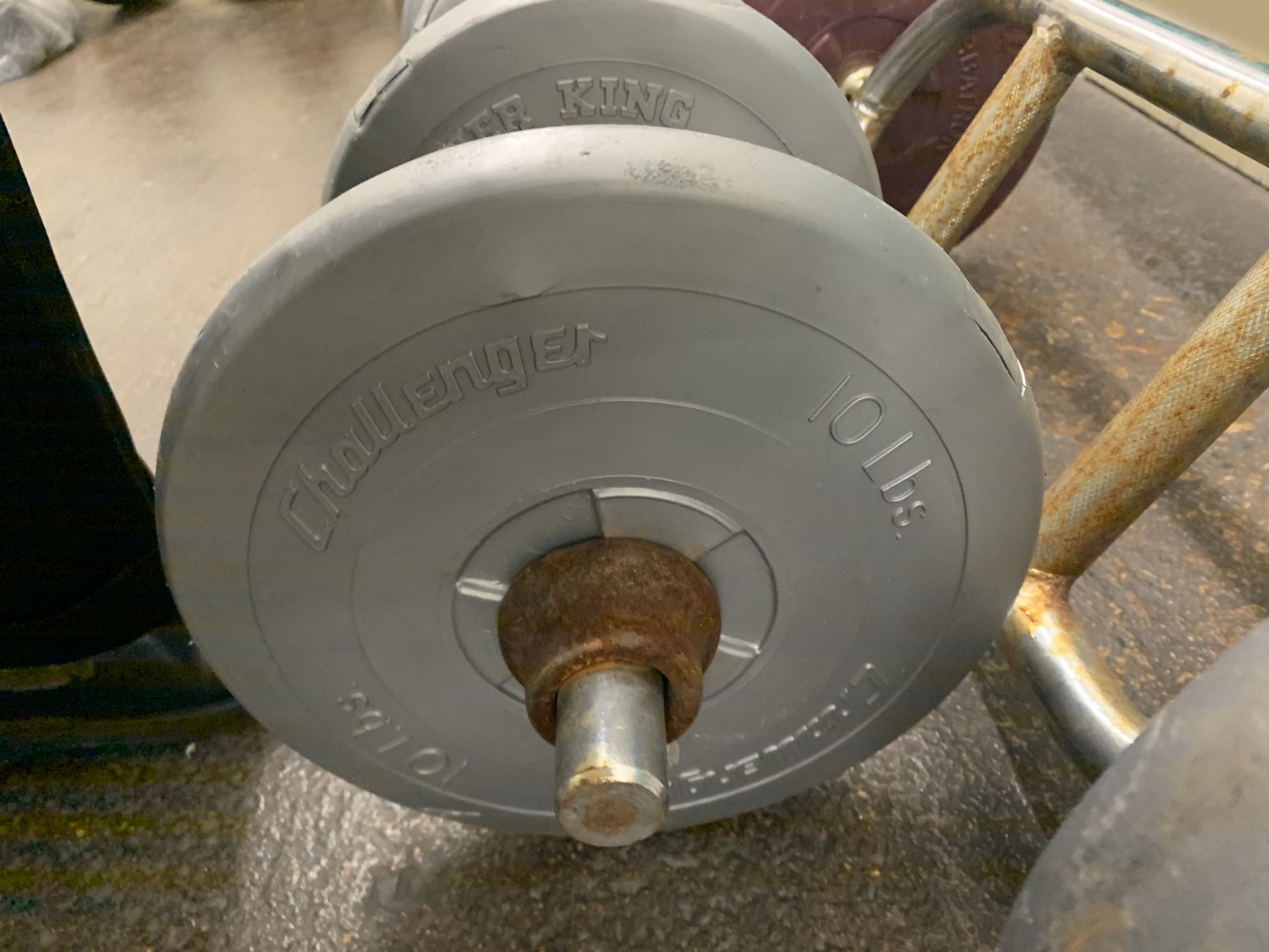 Curl bar and weights included