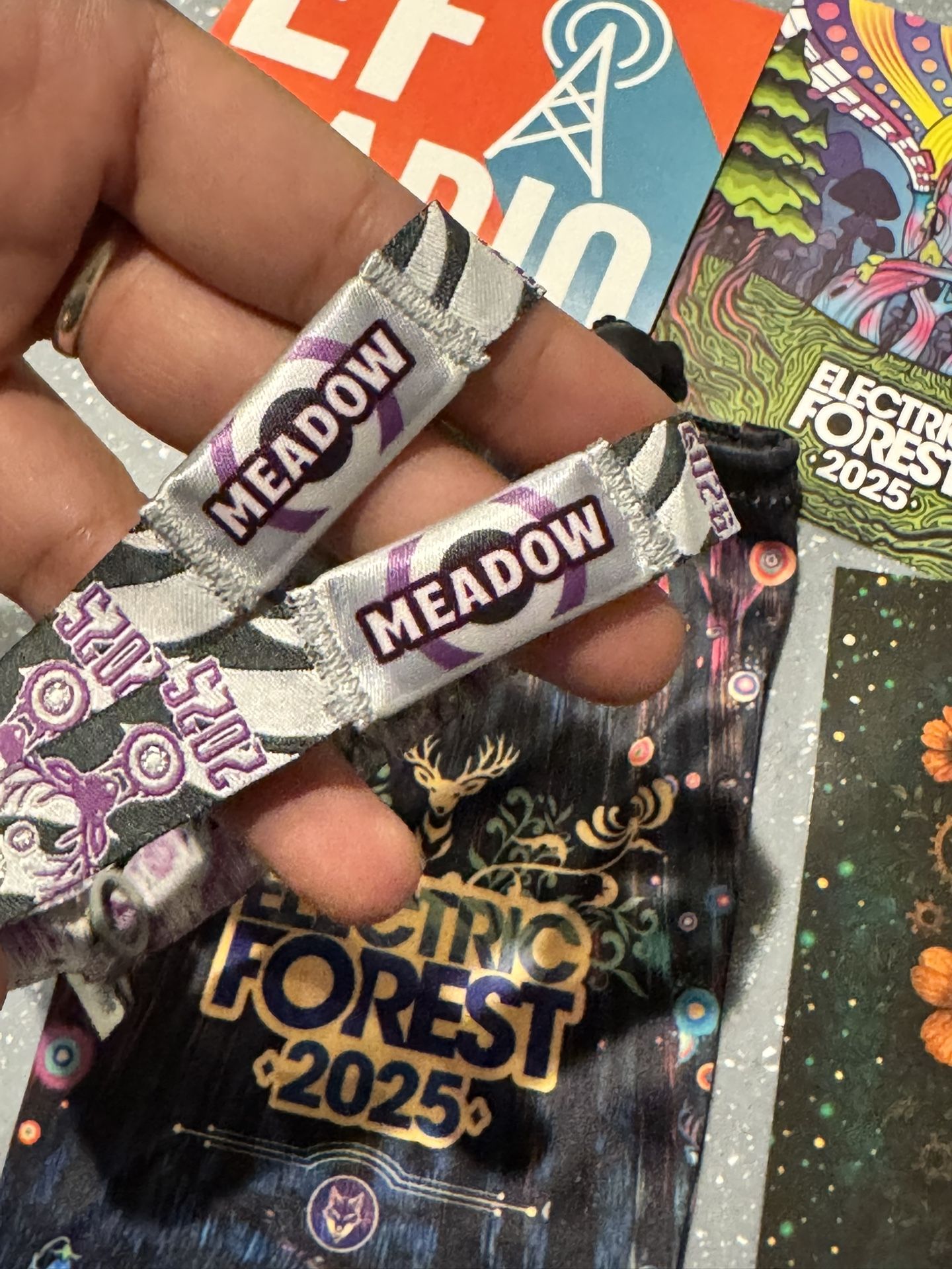 Electric Forest Good Life Meadows 4x 4 Day Tickets