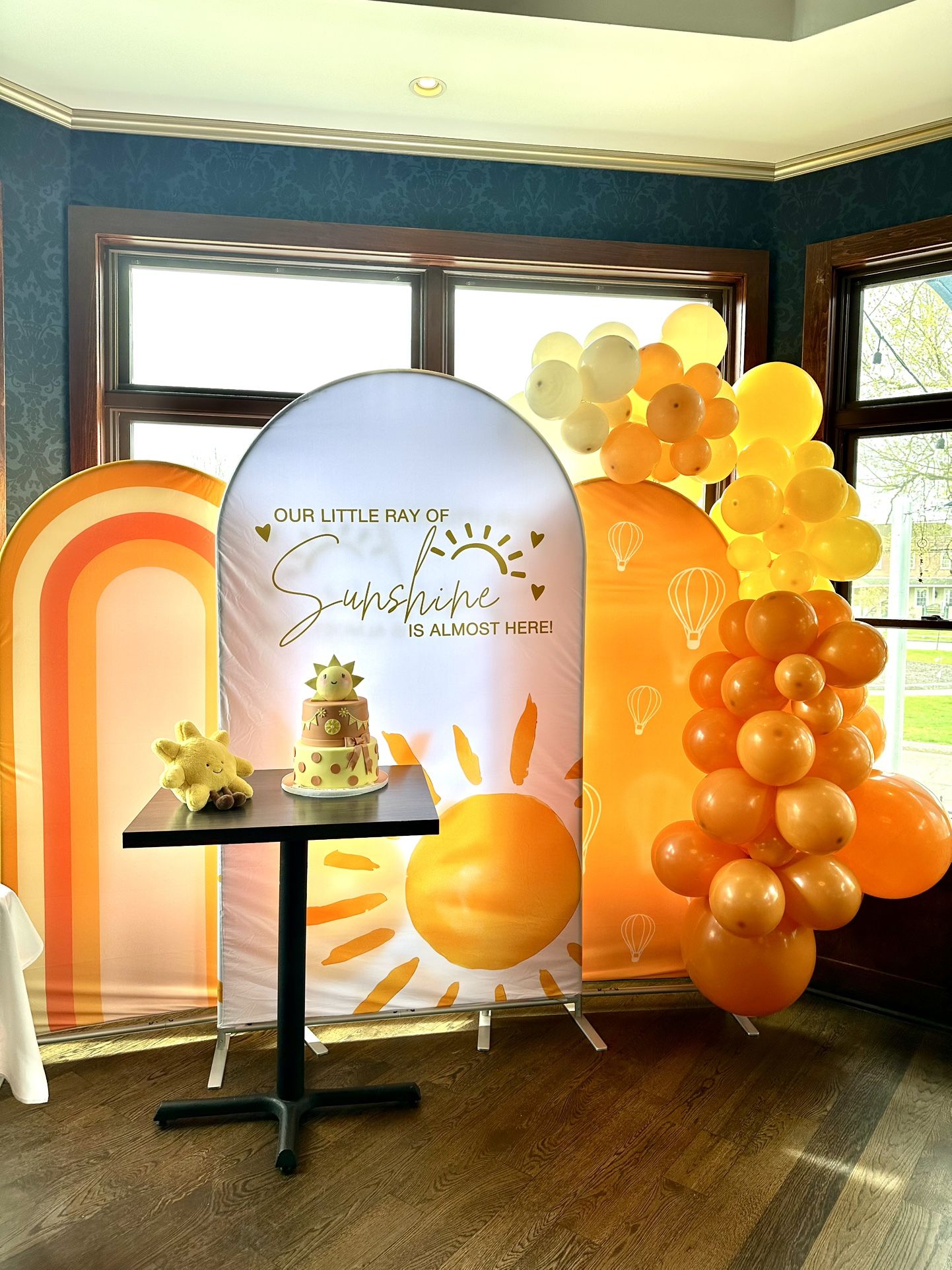 Sunshine Baby Shower Arch Backdrop Cover Boy Girl Gender Reveal Party Stand
