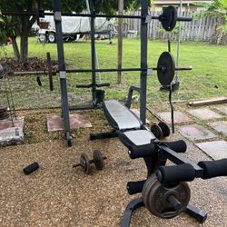 Olympic Bars