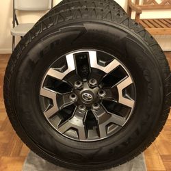 Toyota Tacoma Trd Off-Road Wheels/Rims With Goodyear Wrangler All-Terrain Adventure Kevlar 265/70R16 Tires for Sale in Miami Beach, FL - OfferUp Toyota Tacoma Trd Off-Road Wheels/Rims With Goodyear Wrangler All-Terrain Adventure Kevlar 265/70R16 Tires for Sale in Miami Beach, FL - OfferUp